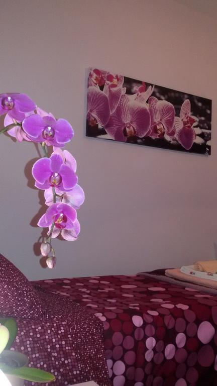 B&B Interno 8 Rome Kamer foto